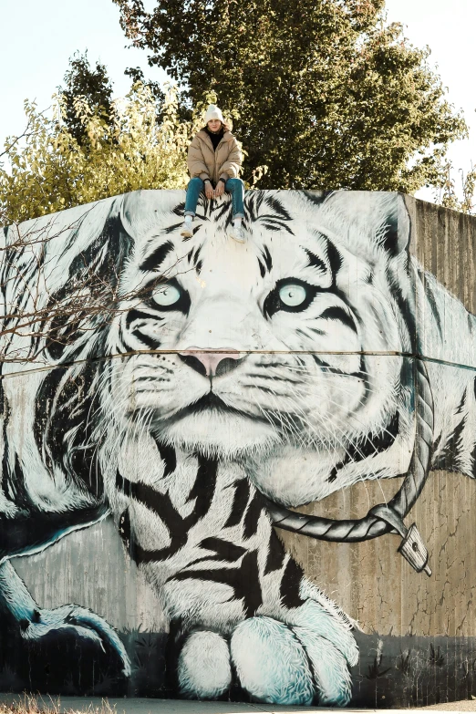 a person riding a skateboard with the head of a tiger painted on it