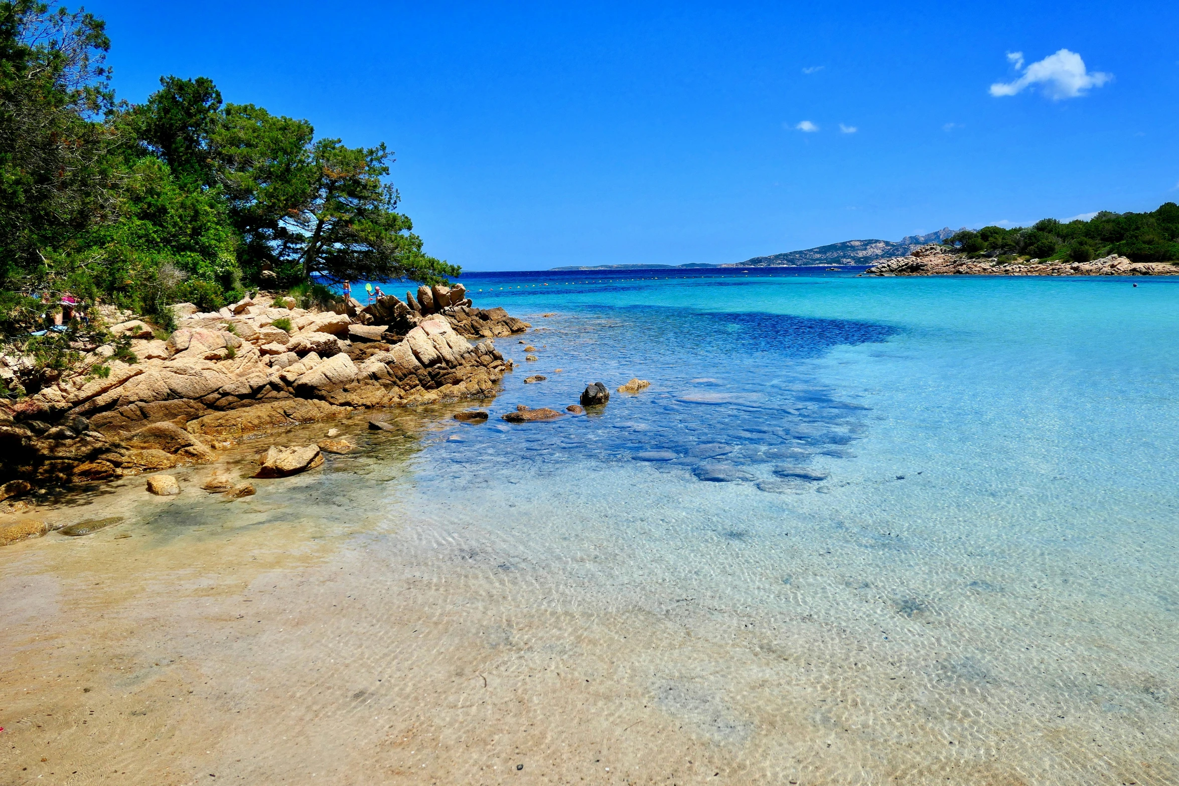 a sandy shore and ocean line with trees