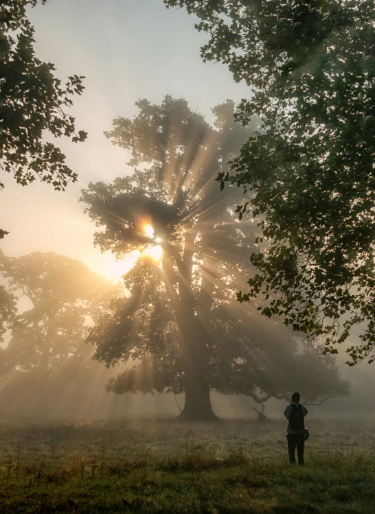 a man standing in front of a huge sun in the woods