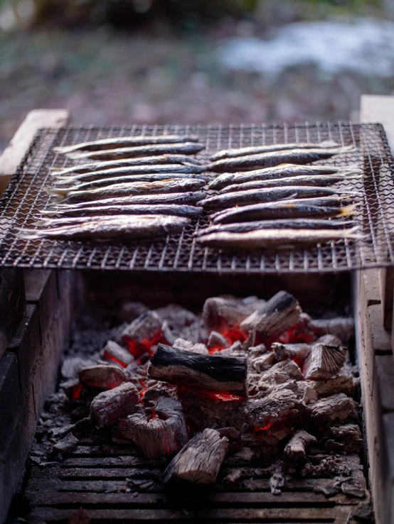 fish are cooked over an open fire in an outdoor grill