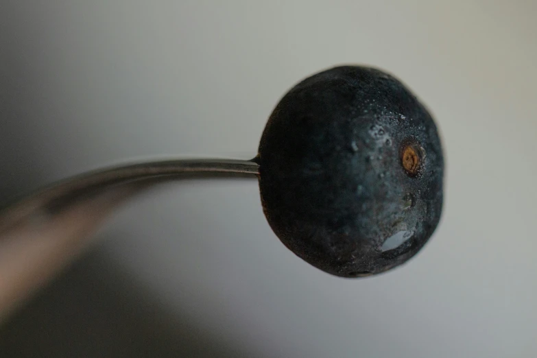 a metal ladle with a blue fruit hanging from it