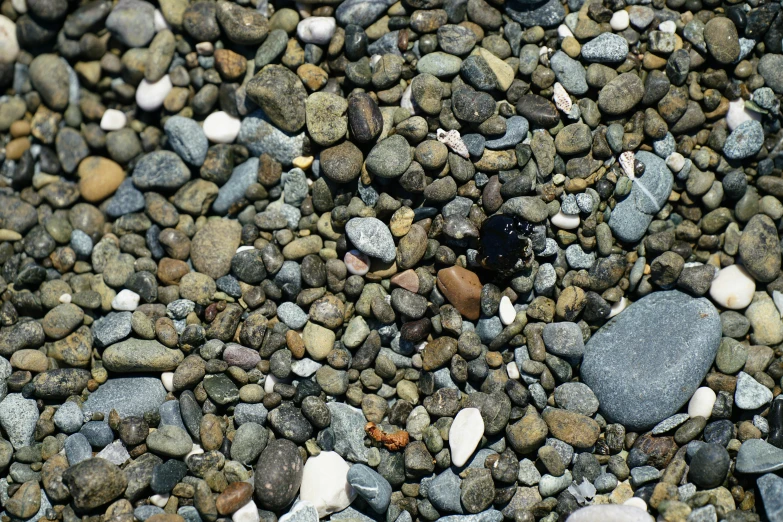an image of a closeup of rocks and pebbles