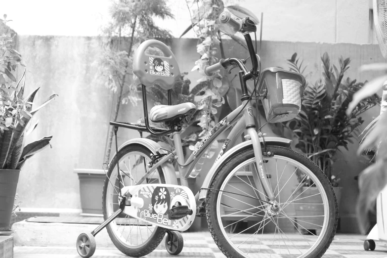 an old bicycle parked by a large plant