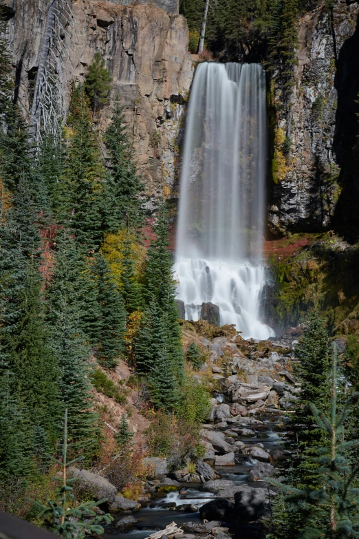 there is a waterfall in the forest and its people are looking