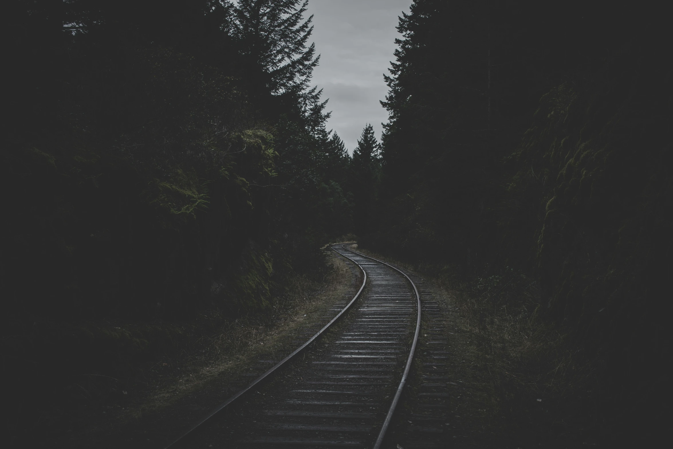 a railroad track passing through some trees at night