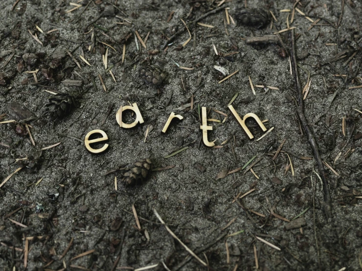 wooden letters written with ss on the ground