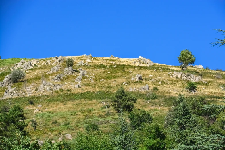 the top of a hill with some trees on it