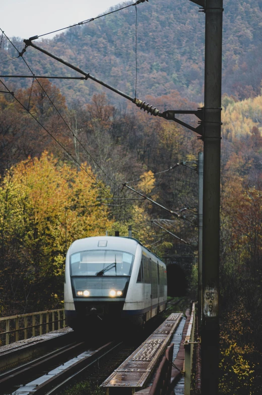 a train traveling down tracks near a forest