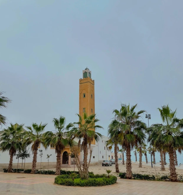 a tall clock tower sitting above a park filled with palm trees