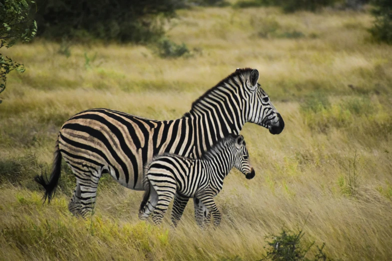 a mother ze standing next to her baby