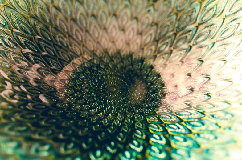 this is an artistic image of a flower