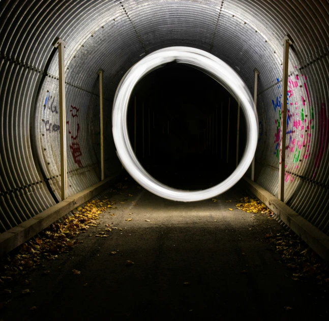 a black and white po inside a tunnel