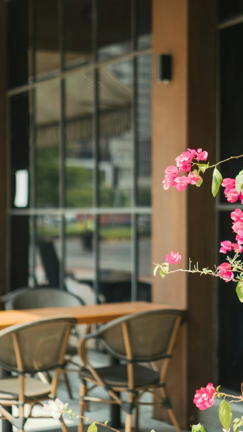 pink flowers on a stick are in front of a table