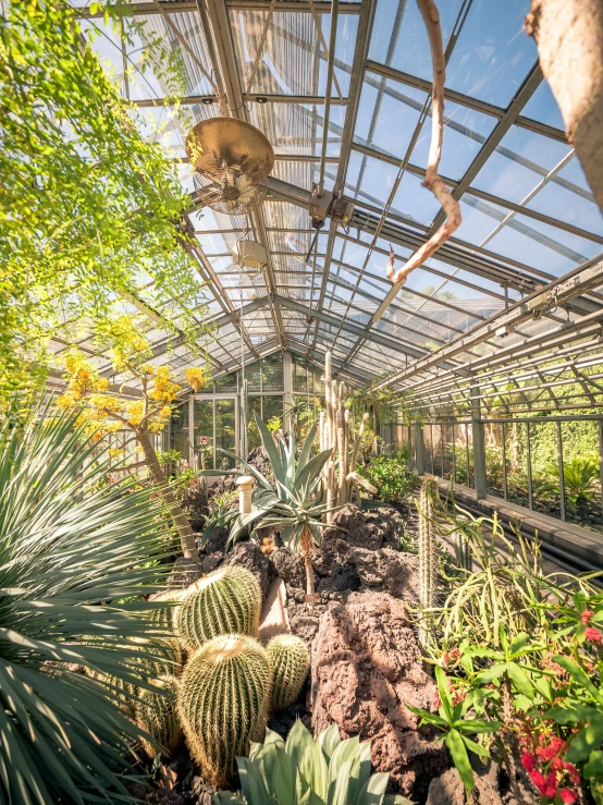 a greenhouse filled with plants next to a tree