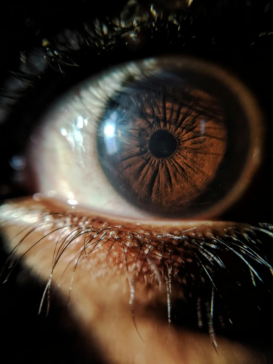 close up view of an eye with the iris closed