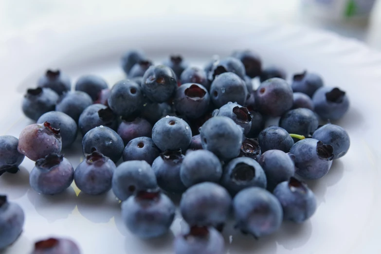 some blueberries are scattered on a white plate