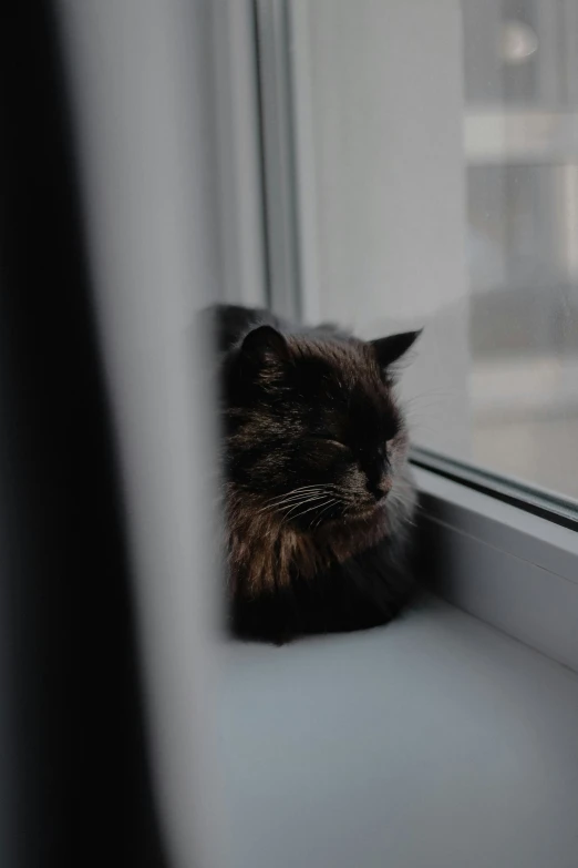 there is a black cat that is sleeping on a window sill