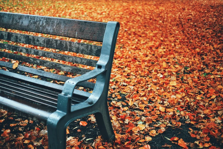 a park bench surrounded by falling leaves