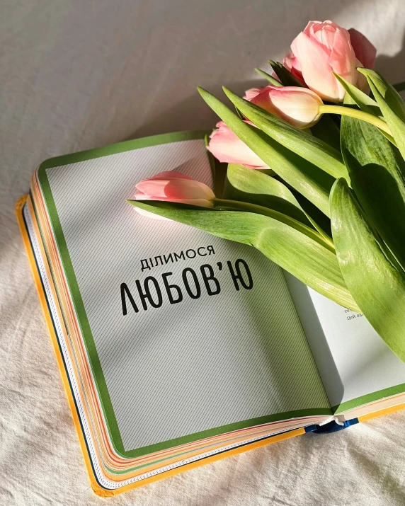 two pink flowers on top of a book on a bed