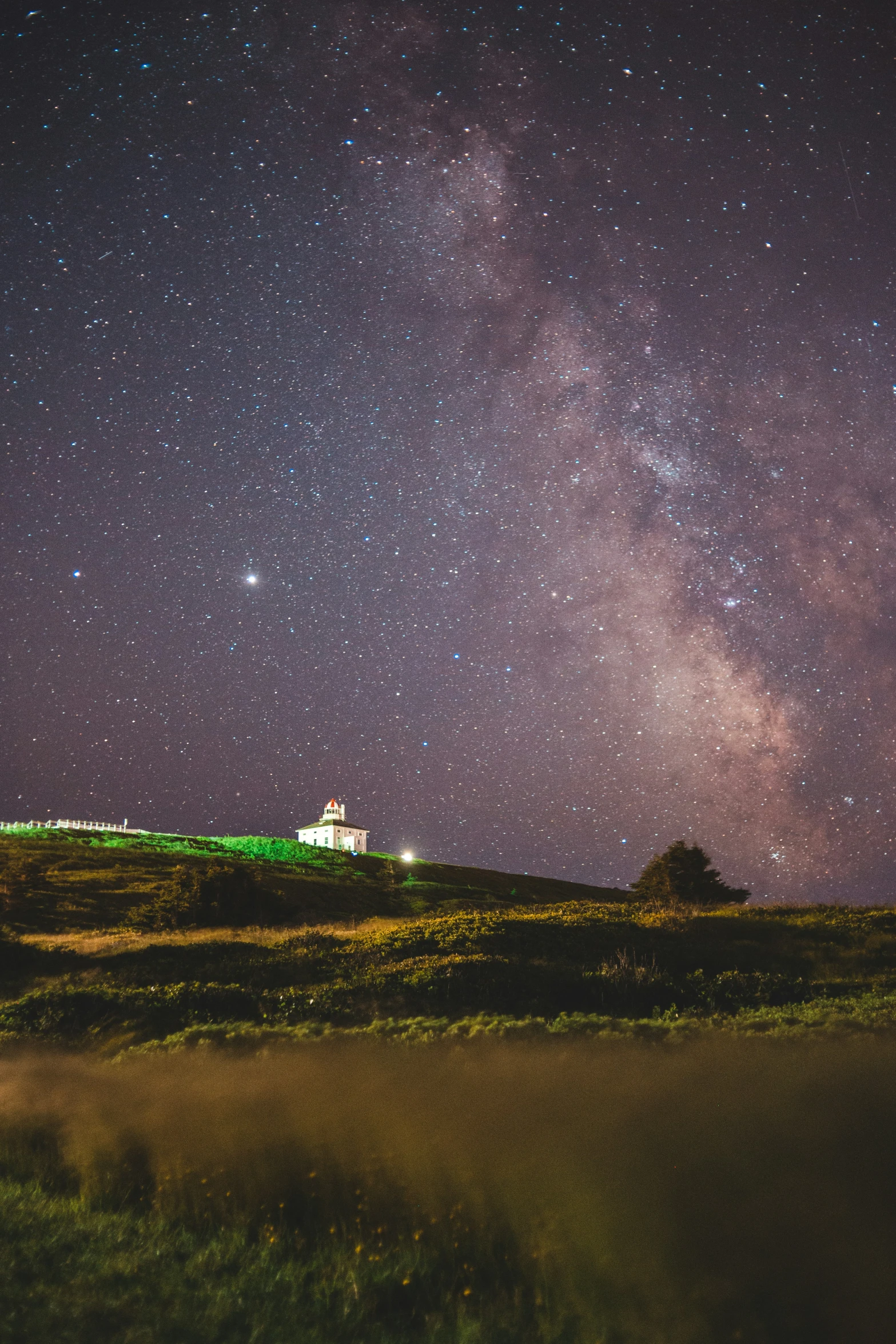 the starr filled sky is seen above the green grass