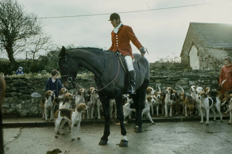 a man riding on the back of a horse surrounded by dogs