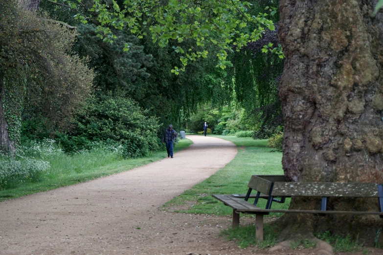 a park bench on the side of a road