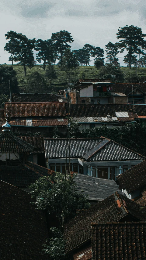 view of roofs and house from the roof