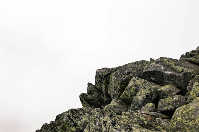 a white airplane flying over a mountain covered with green moss