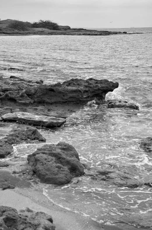 a lone bird is sitting on the shore