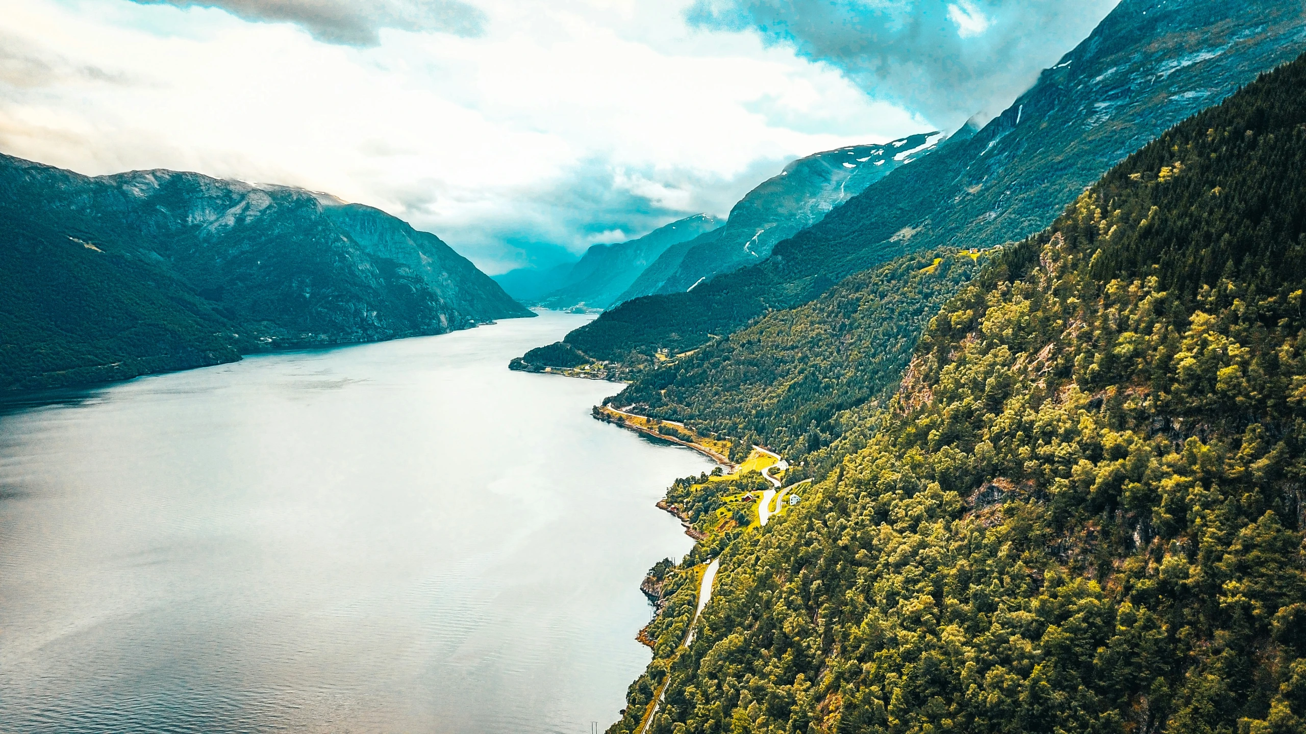 a bird's eye view of mountains, trees and a body of water