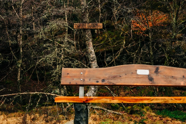 a bench sitting in front of a forest with signs