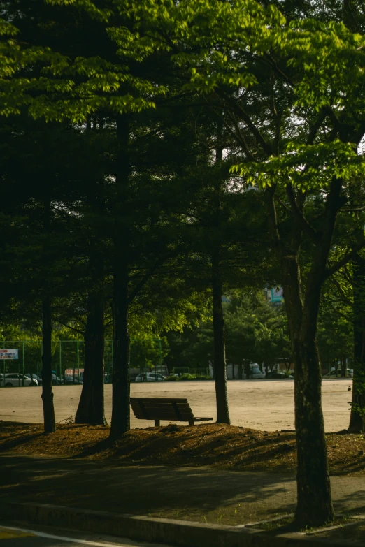 a bench sitting between two trees in a park