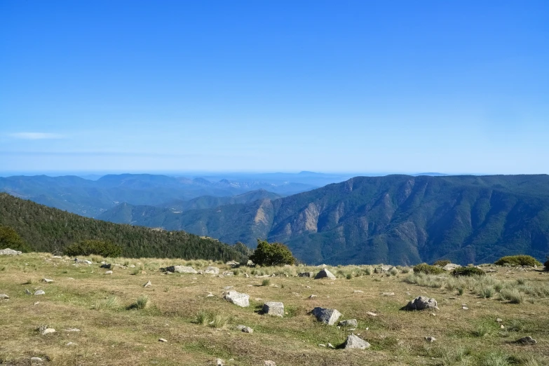 the grass on the mountain looks great