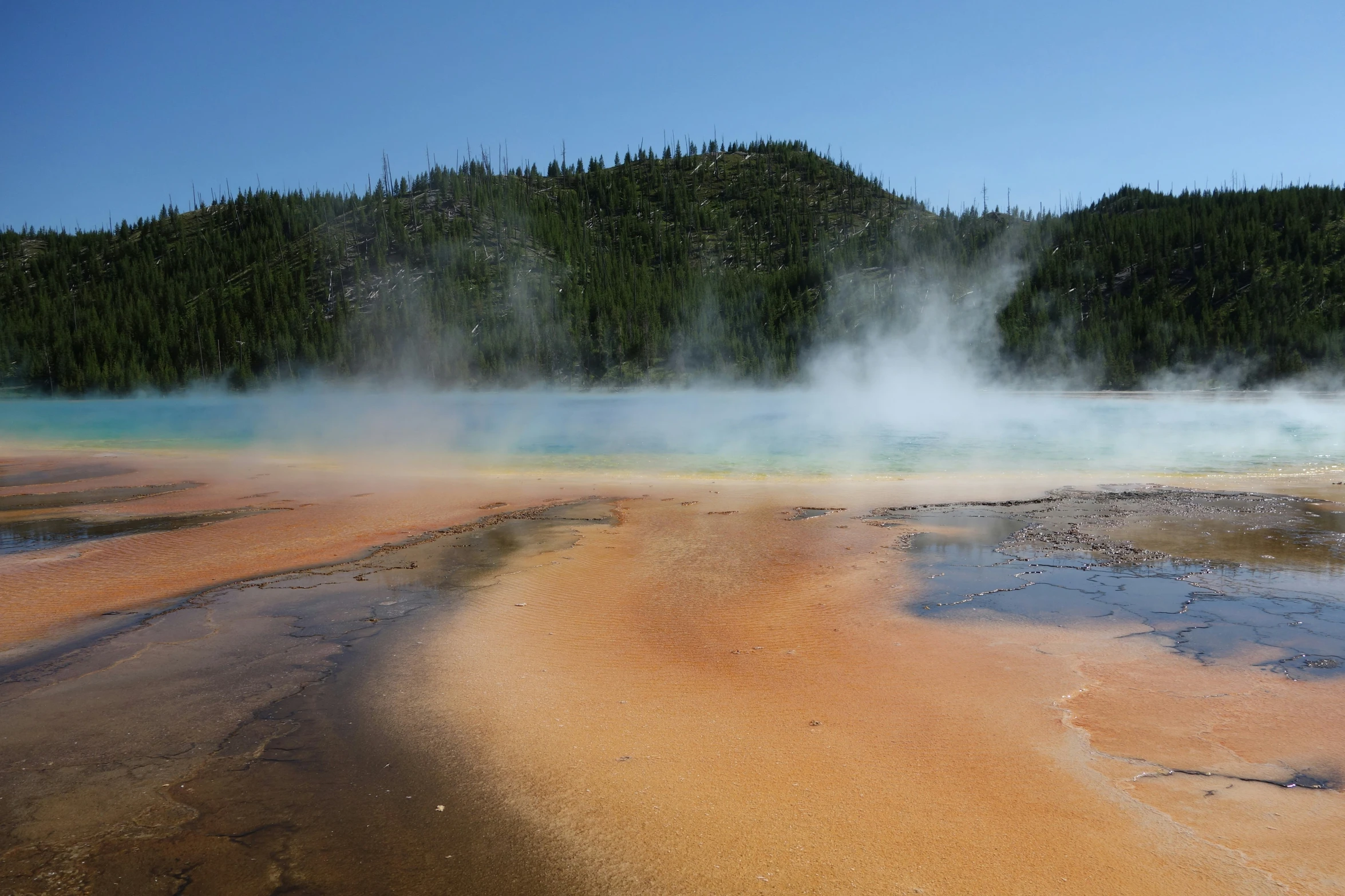 steam rises from the ground near a pool