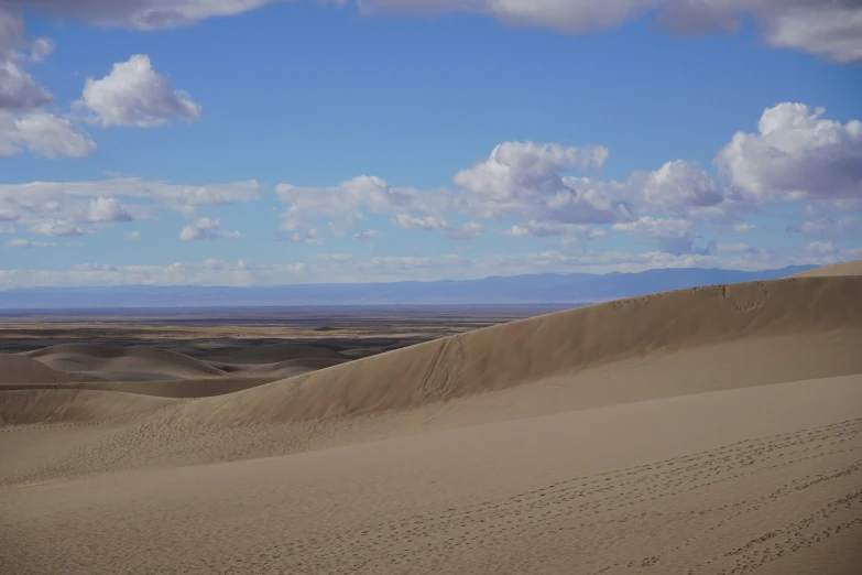 a blue and white horse standing in the middle of a desert