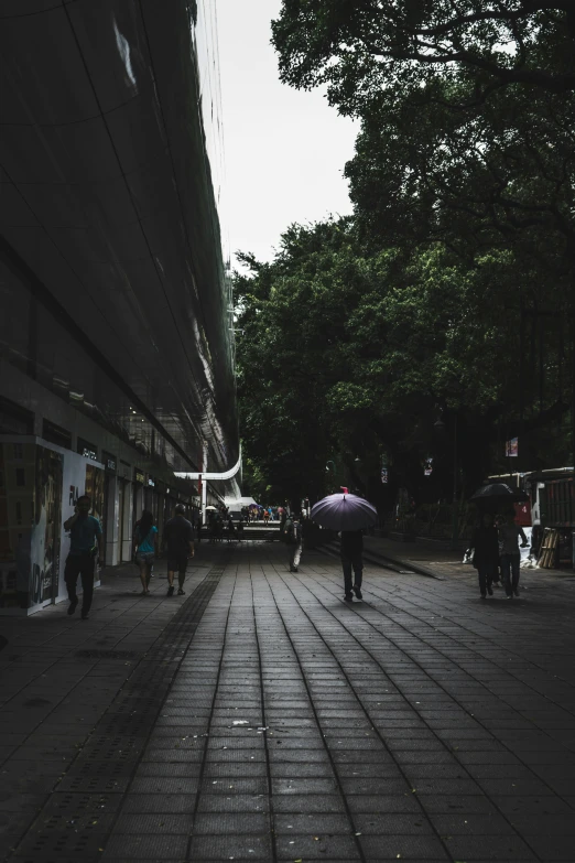 people walk down a brick sidewalk holding umbrellas