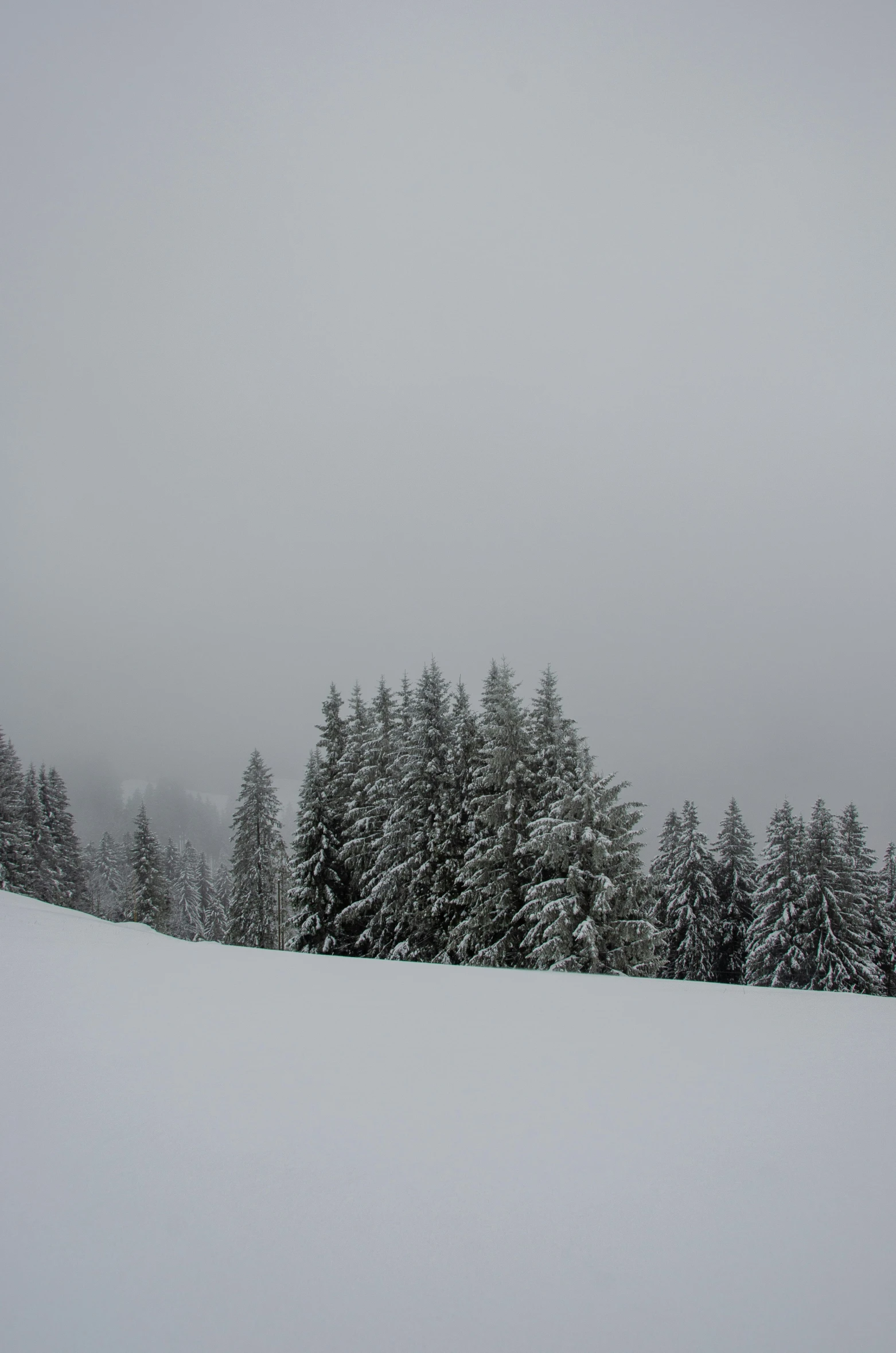 lone skiier skiing down hill near pine tree