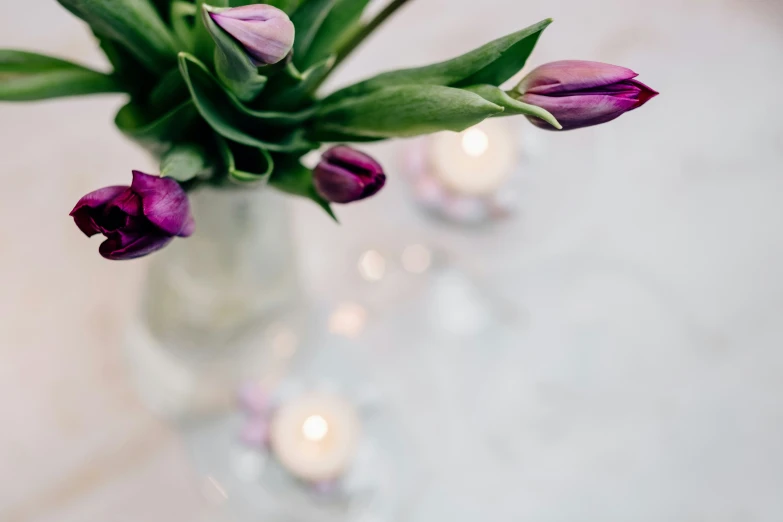 two candles and three purple flowers in a vase