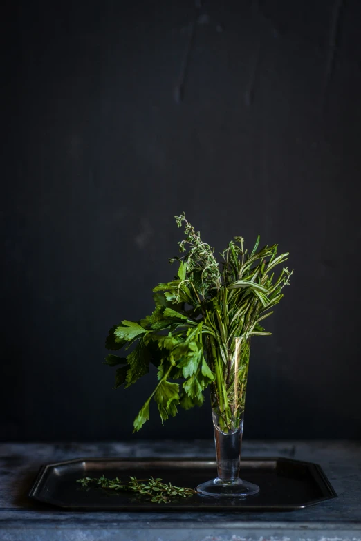 a plant in a glass vase sitting on a tray