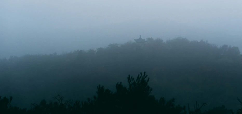 a treeline with birds in the foggy air