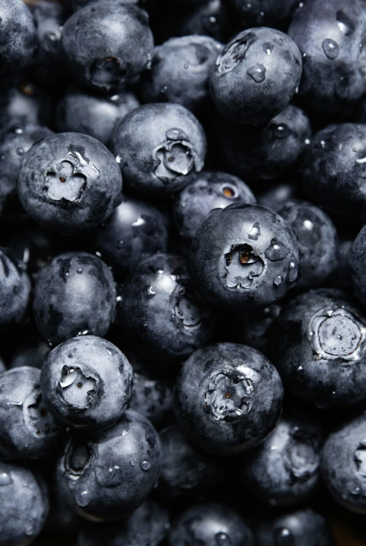 a bunch of fresh blueberries with water drops