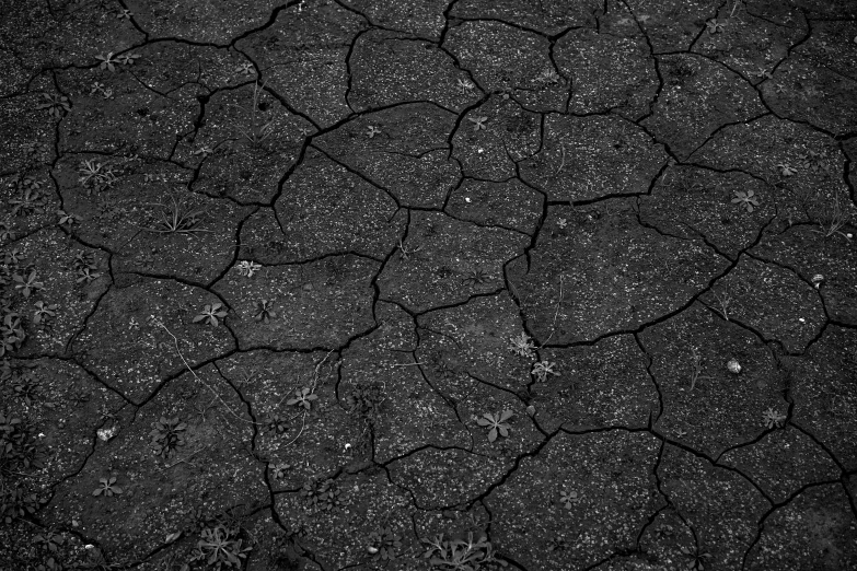 a black and white po of some rocks