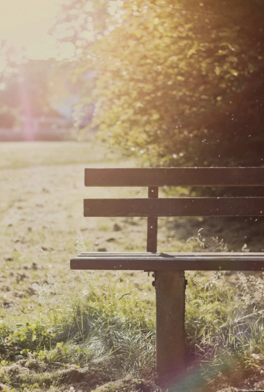 a park bench in a sunny area with grass