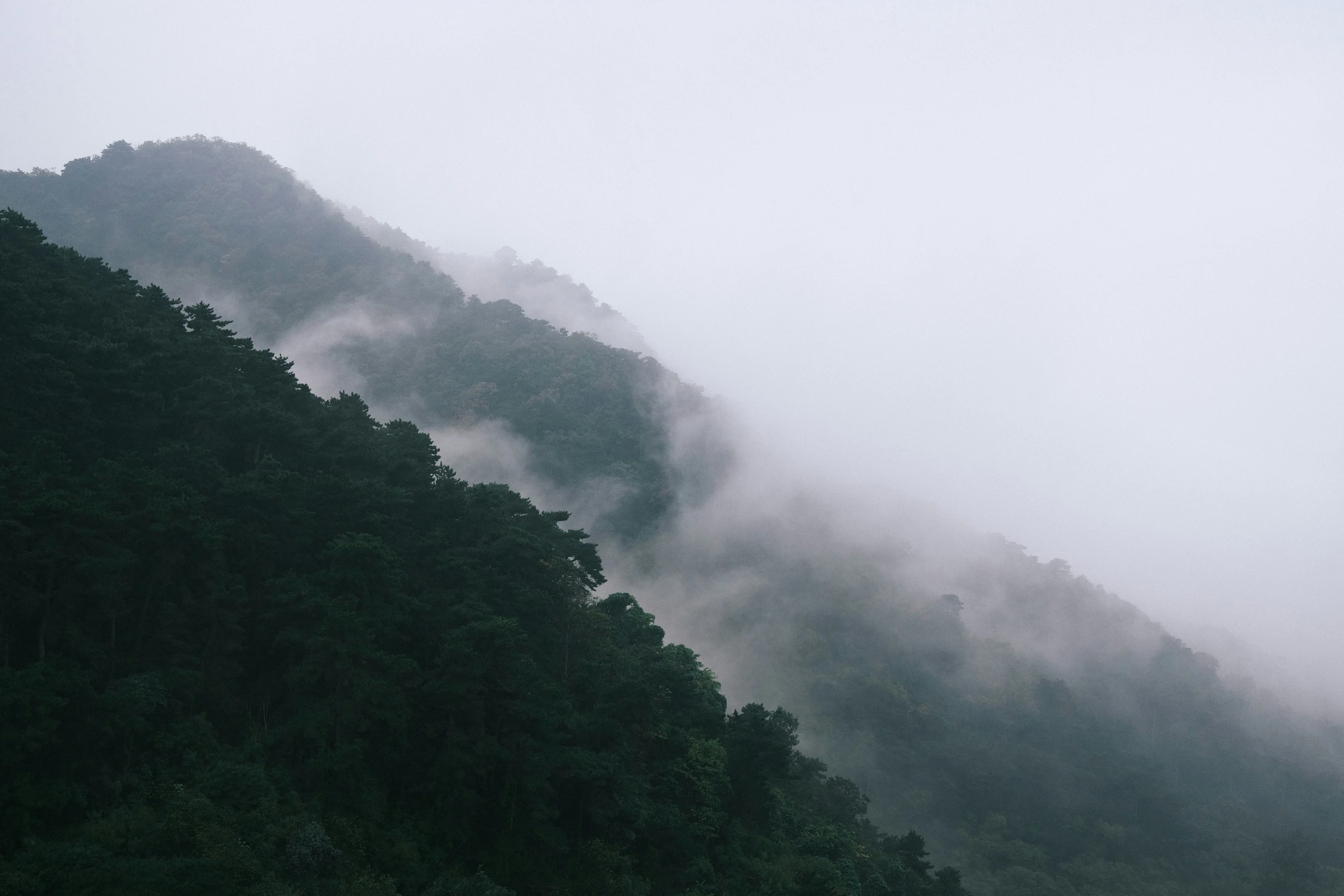 the fog covers the mountains on a cold day