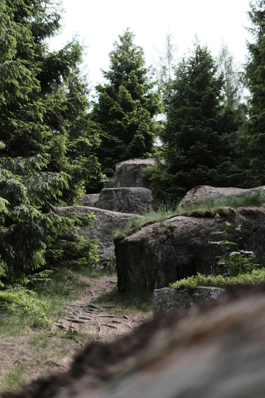 the giraffe is standing near some rocks and trees