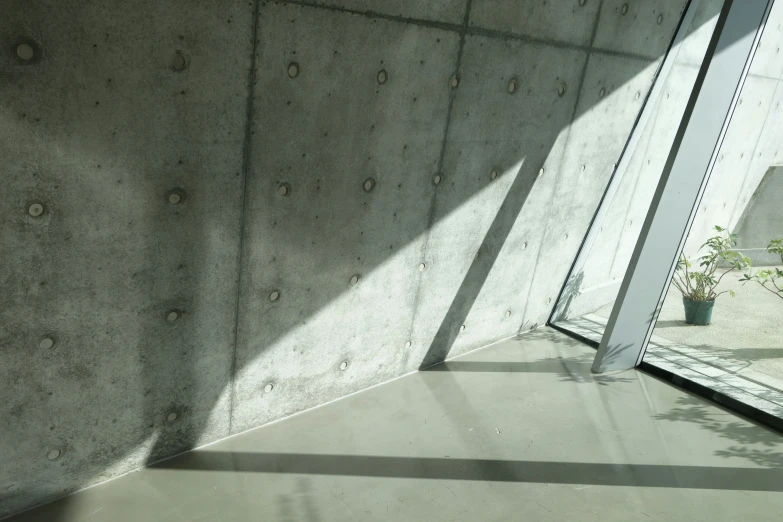 an exterior view of cement walls and a plant in the background