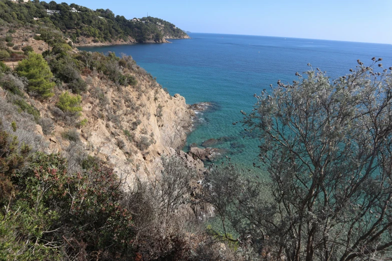 the scenic coastline is covered in thick vegetation