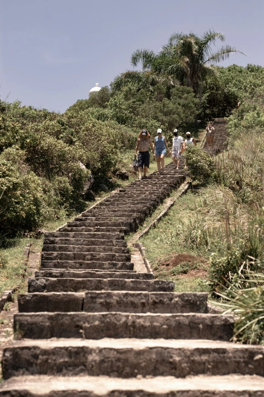 some people are on the stairs in the bushes