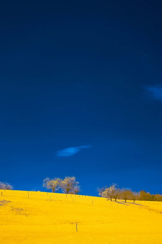 a field with a large hill and lots of trees