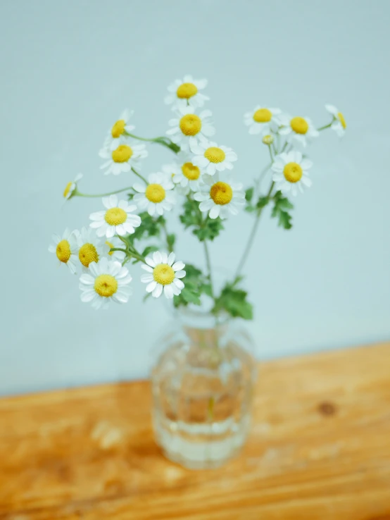 a clear glass vase filled with small yellow and white flowers